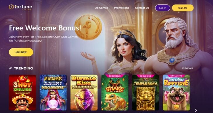 Fortune Coins Homepage