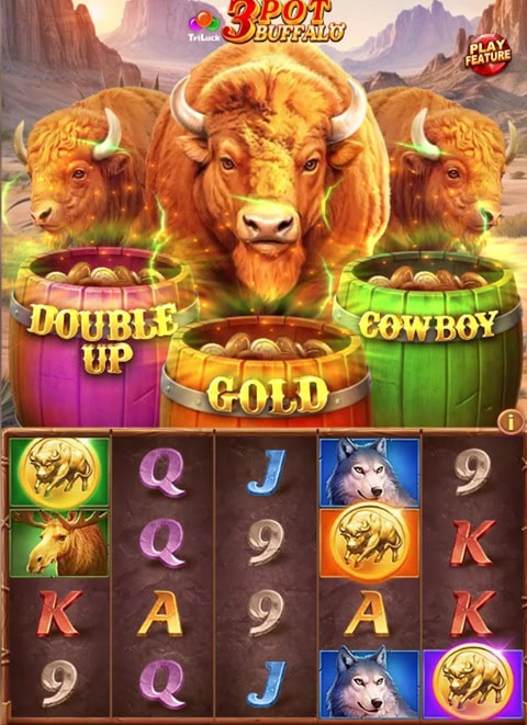 3 Pot Buffalo Coins