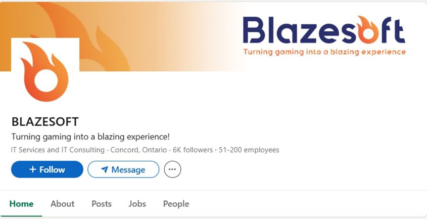 Blazesoft LinkedIn