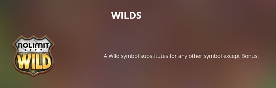 Duck Hunters Wilds
