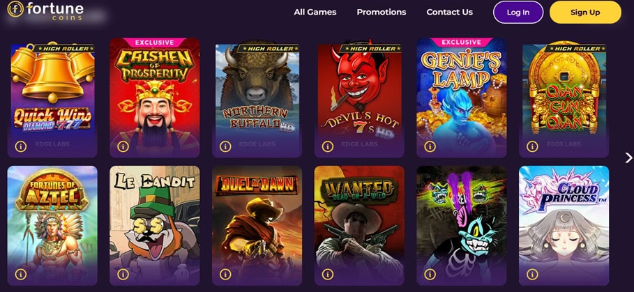 Fortune Coins Slots