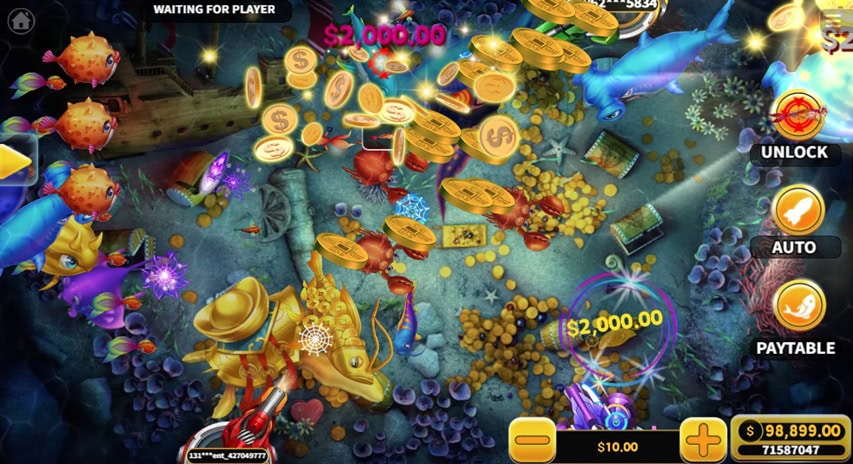 Golden Dragon Test Big Win