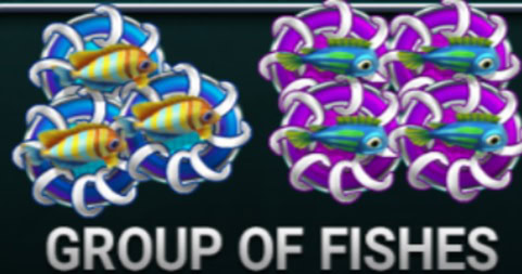 Emily’s Treasure Group of Fishes
