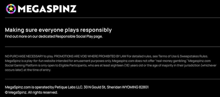 MegaSpinz Footer