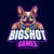 Big Shot Games Casino Logo