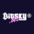Bitsky Casino Logo