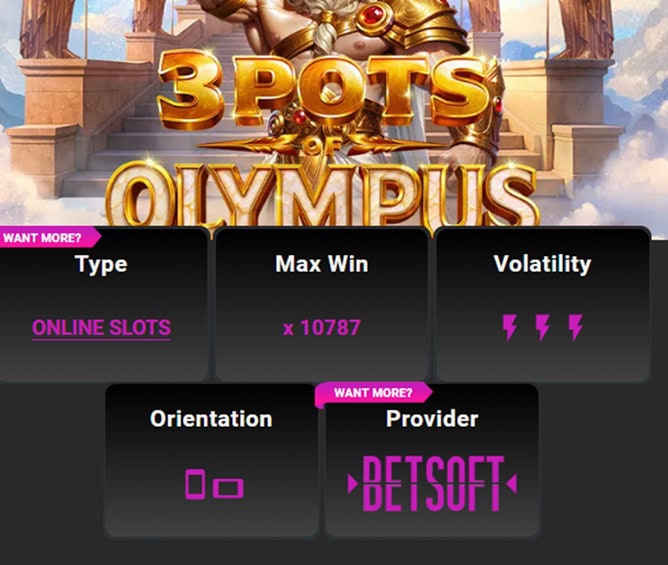 Pulsz Bingo Slot Info