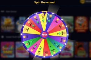 Stack Bonus Games Stackr Casino Review 2026 | Ratings and Assessment