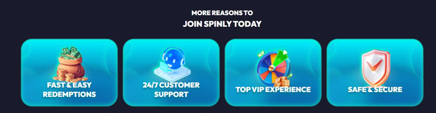 Spinly Features