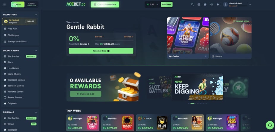Acebet Tennessee
