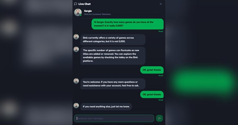 Bink Support