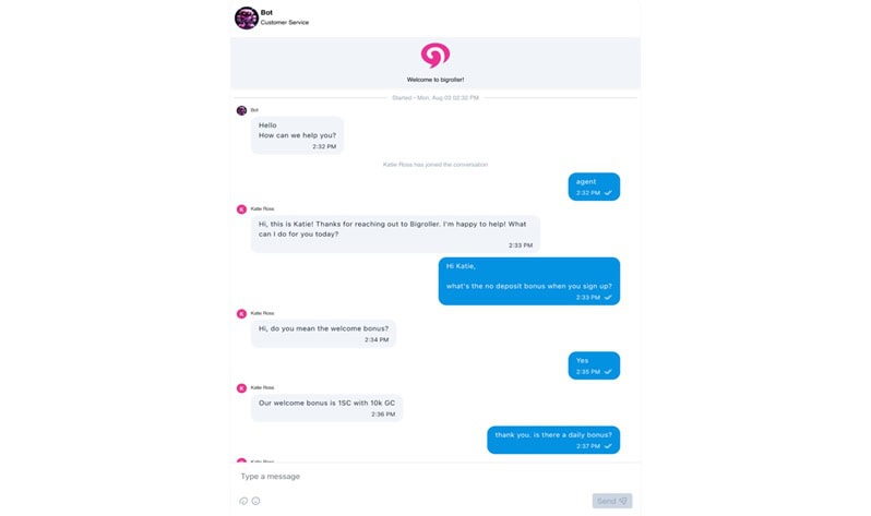 BigRoller Support