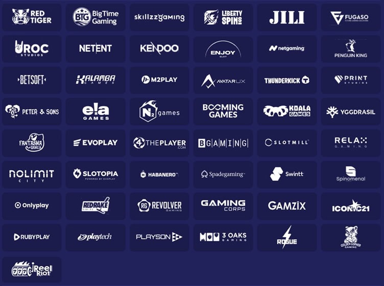 ACE Providers