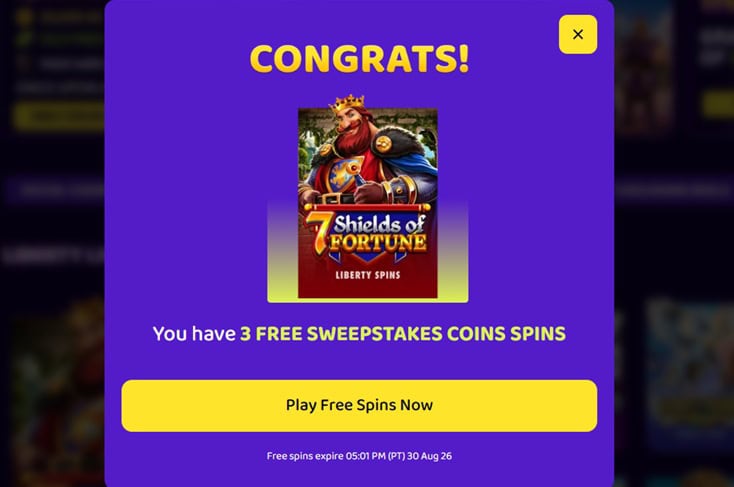 Spindoo FS
