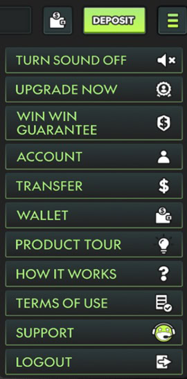 Thrillaroo Menu