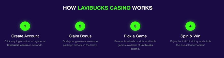 LaviBucks Features