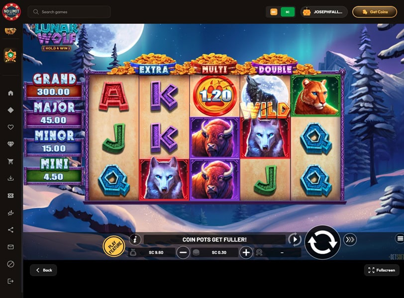 NoLimitGaming Slot